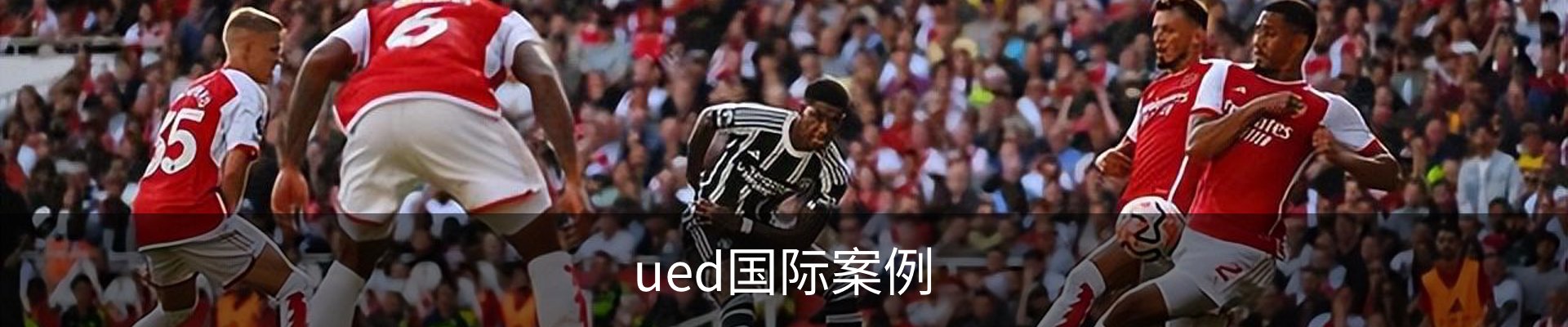 ued国际案例